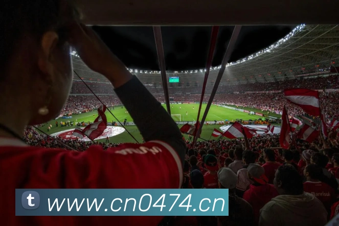 多媒体互动体验